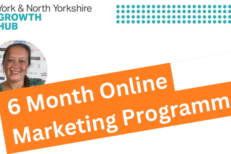 6 Month Online Marketing P