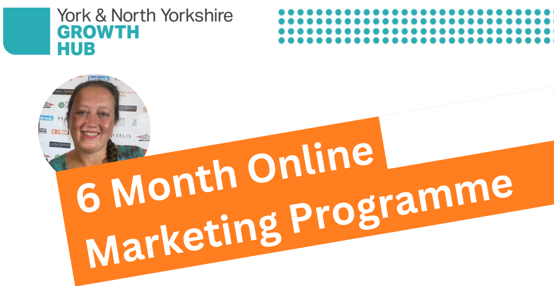 6 Month Online Marketing P